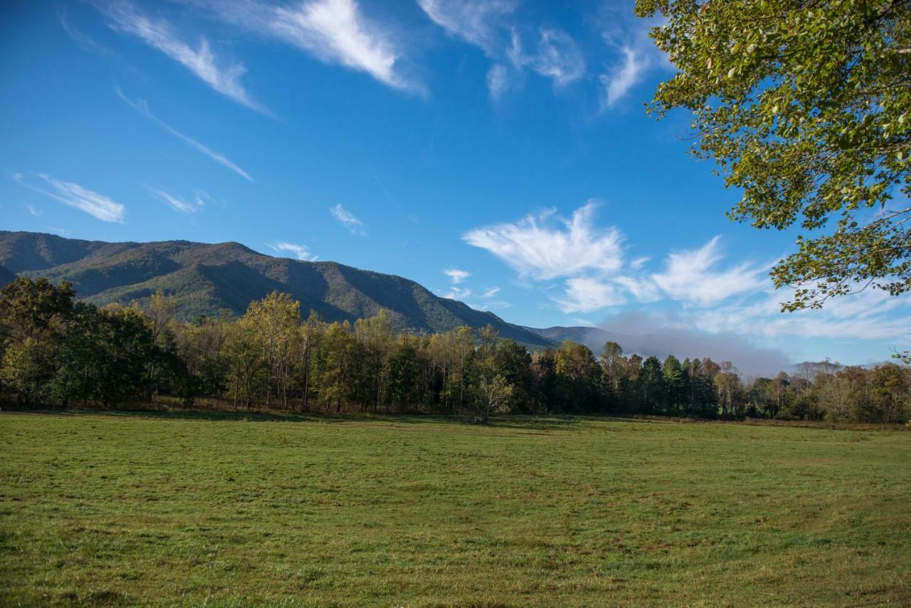 Villa Bearfoot Retreat Waldens Creek Esterno foto